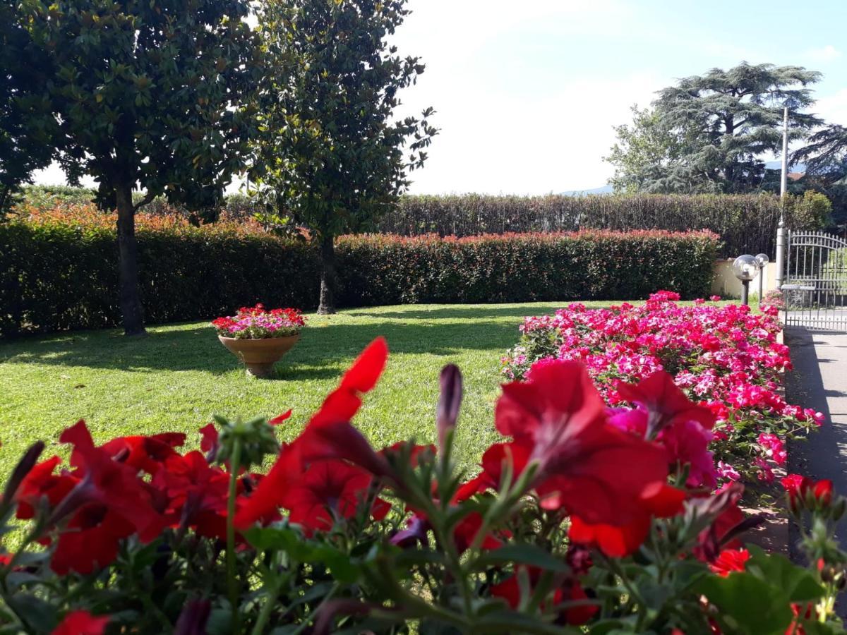Villa Monica Pistoia Eksteriør billede
